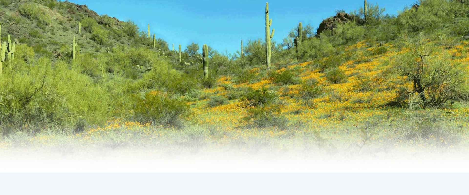 Marc Malin Contact Header Img